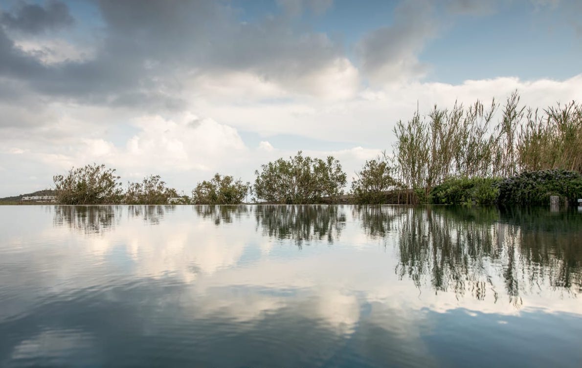 Gallery thumbnail 19