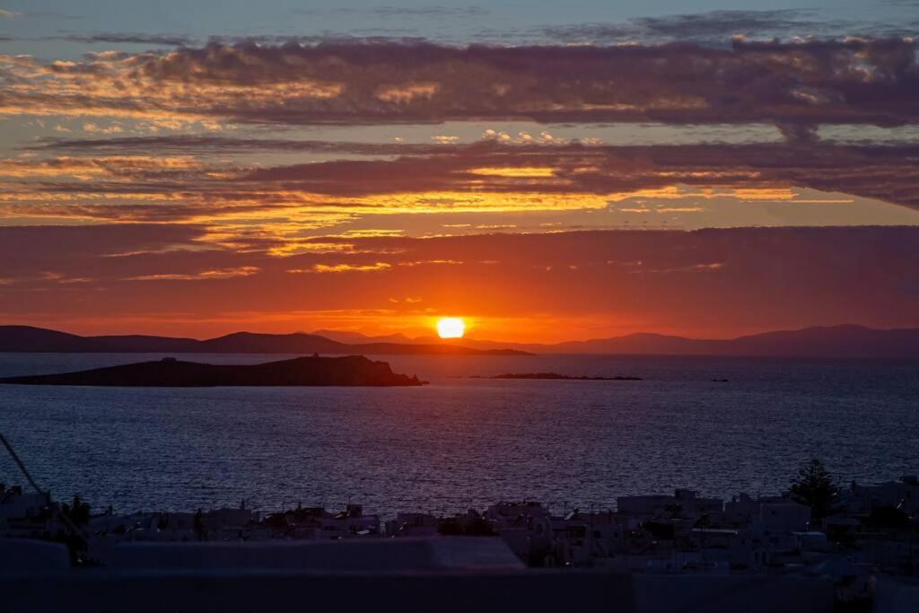 Gallery thumbnail 22