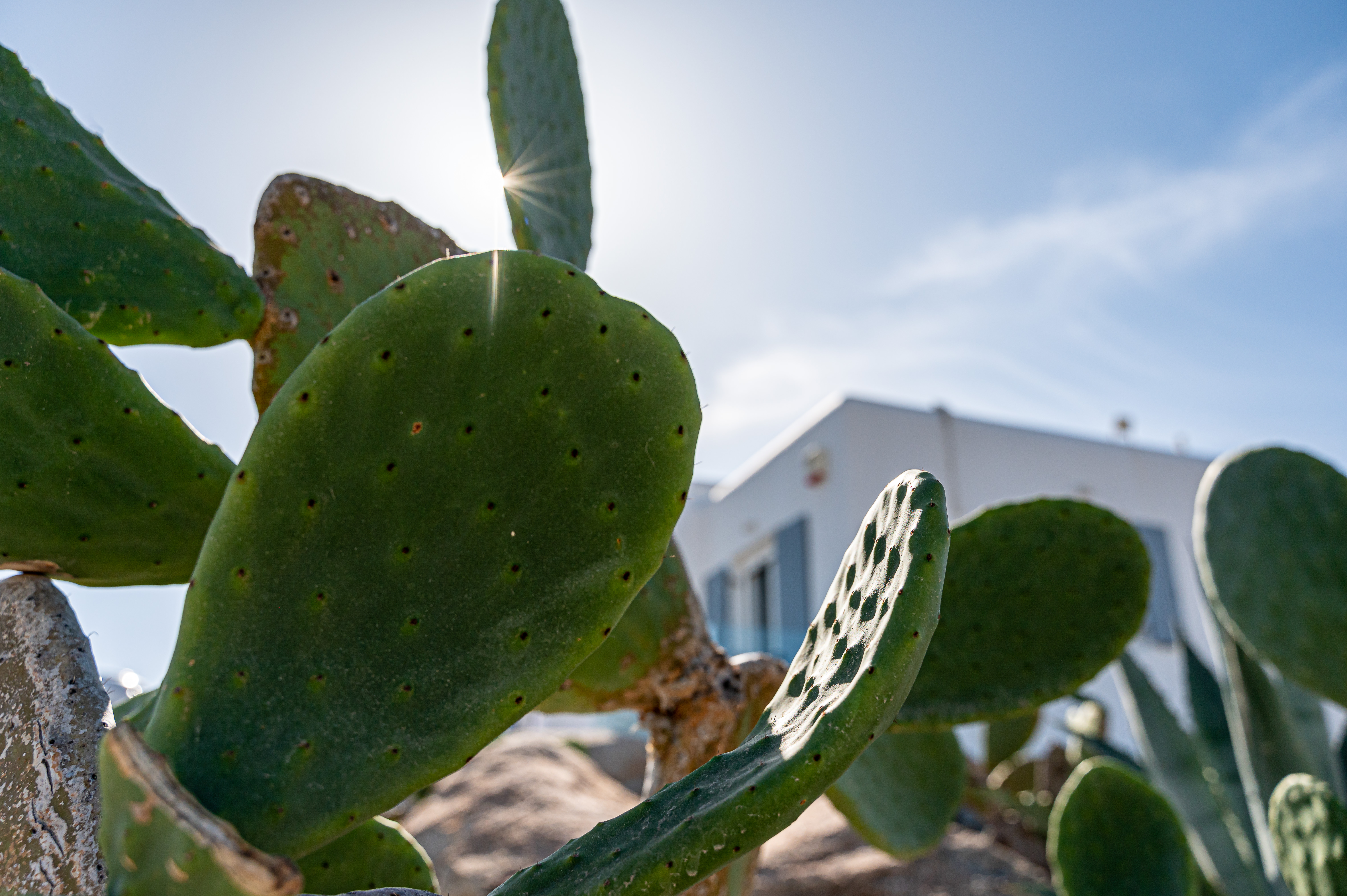 Gallery thumbnail 36