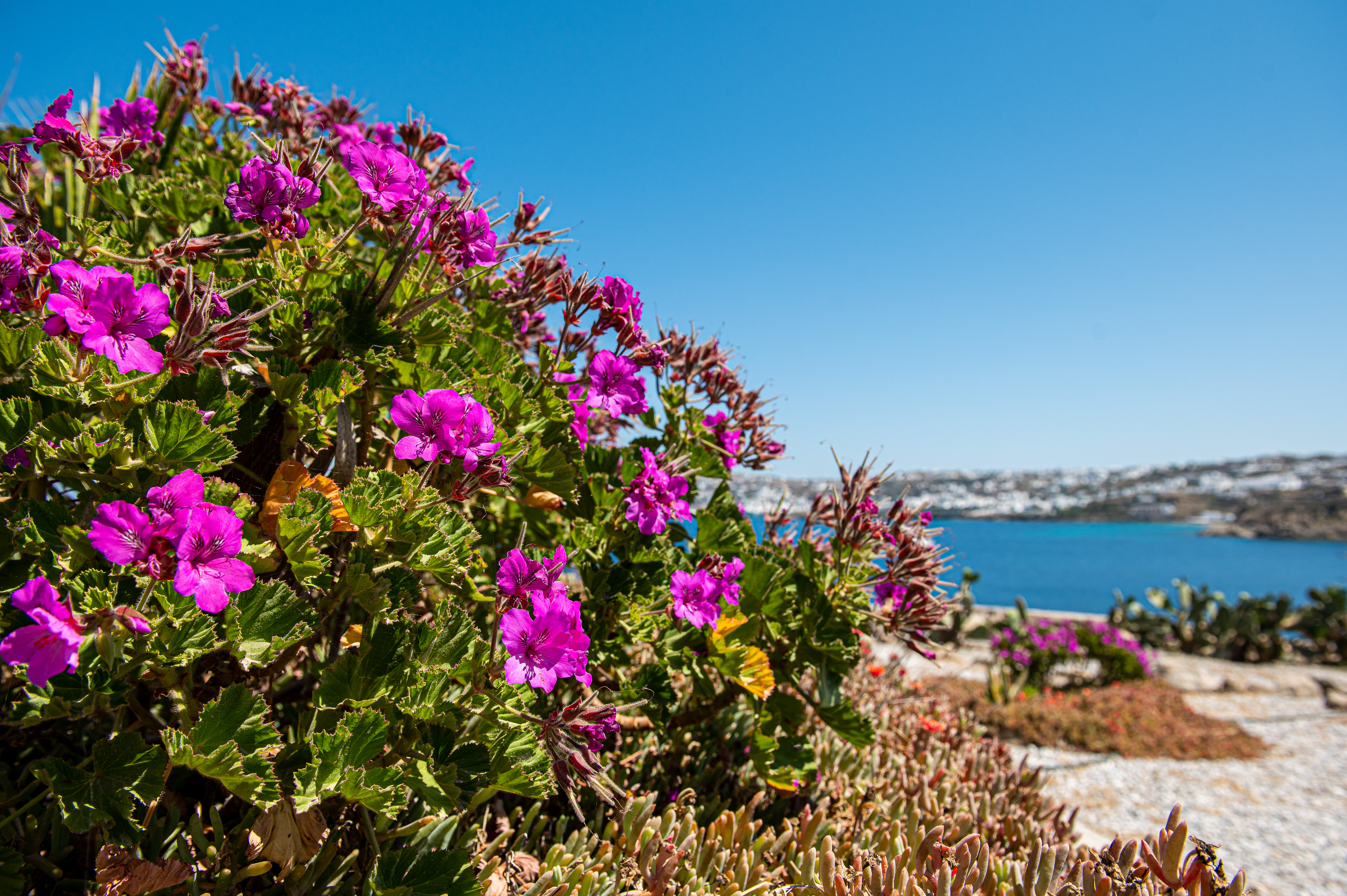 Gallery thumbnail 14